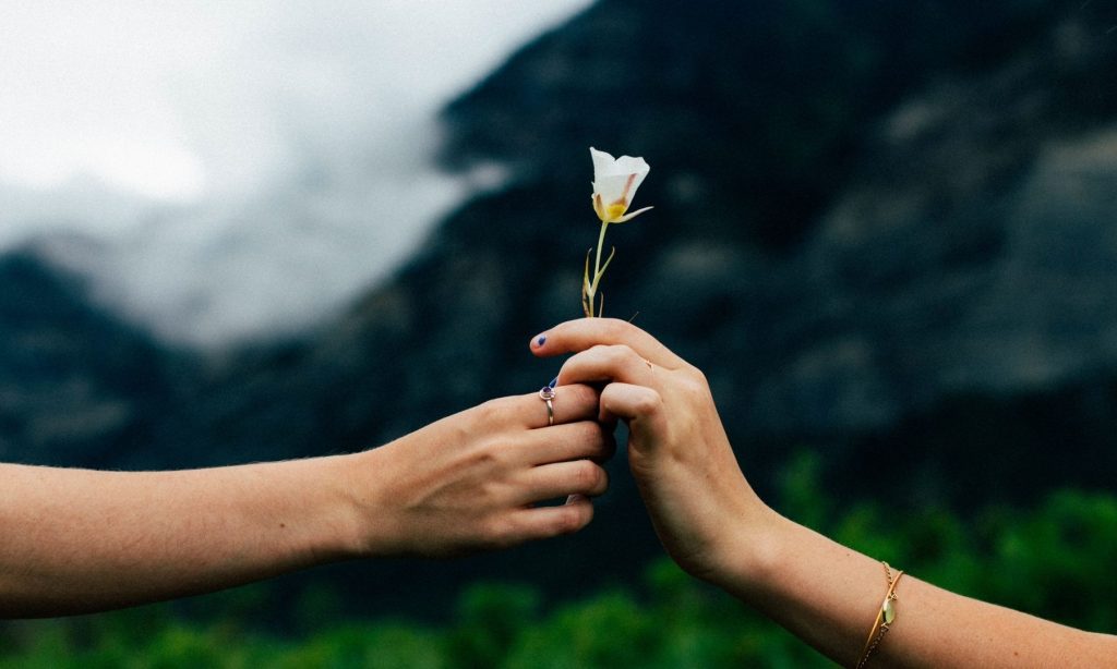 Erwartungen erfüllen