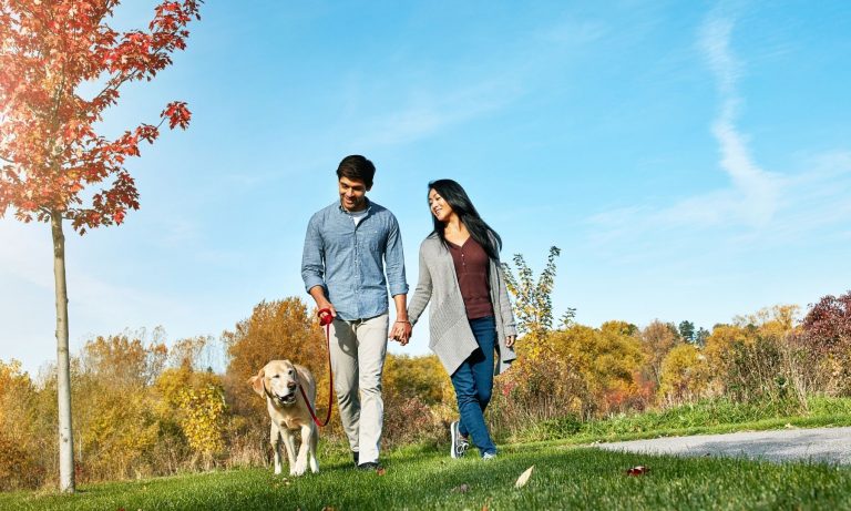 Salutogenese einfach erklärt Salutogenese Kohärenzgefühl