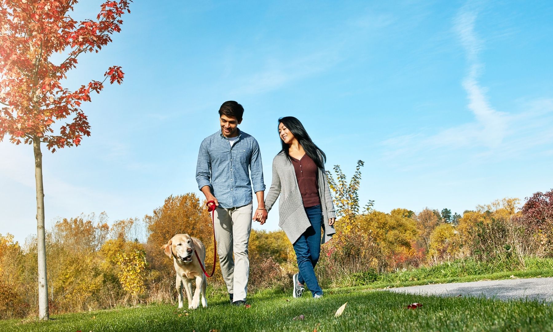 Salutogenese einfach erklärt Salutogenese Kohärenzgefühl