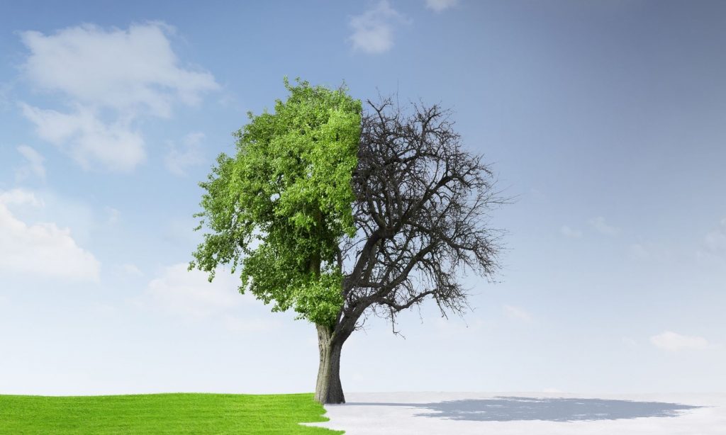 Veränderung im Leben schaffen