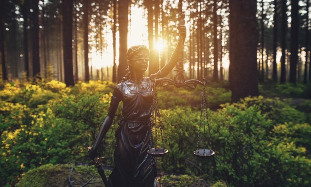 Celtic Reiki Symbole Ogham
belenos reiki