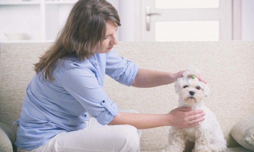 Reiki im Alltag praktizieren