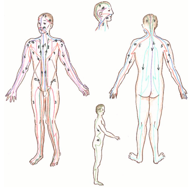 Meridiansystem des Körpers