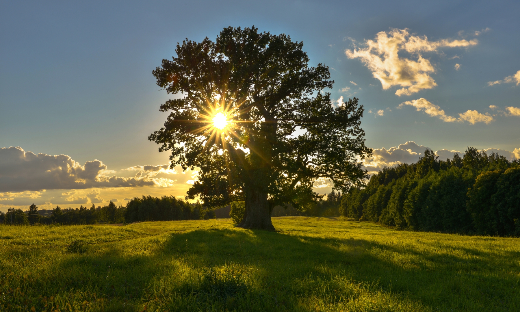 Visualisieren lernen