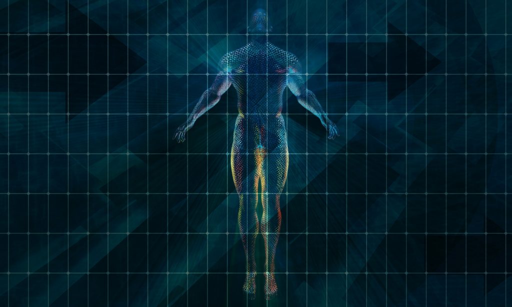 Störfelder im Körper finden