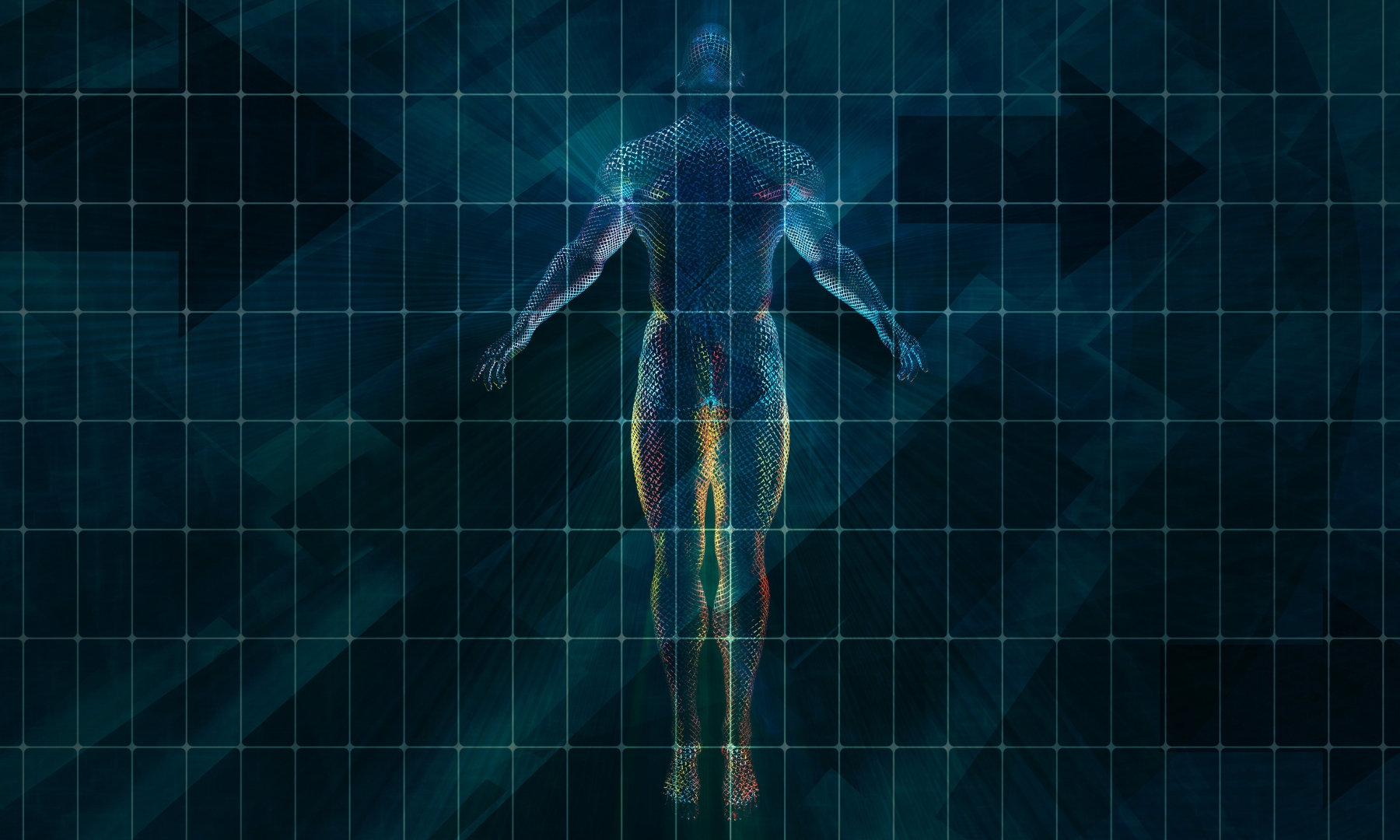 Störfelder im Körper