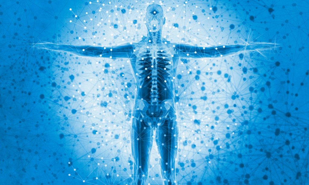 Störfelder im Körper finden