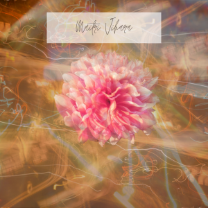 Ferneinweihung Maitri Vihara