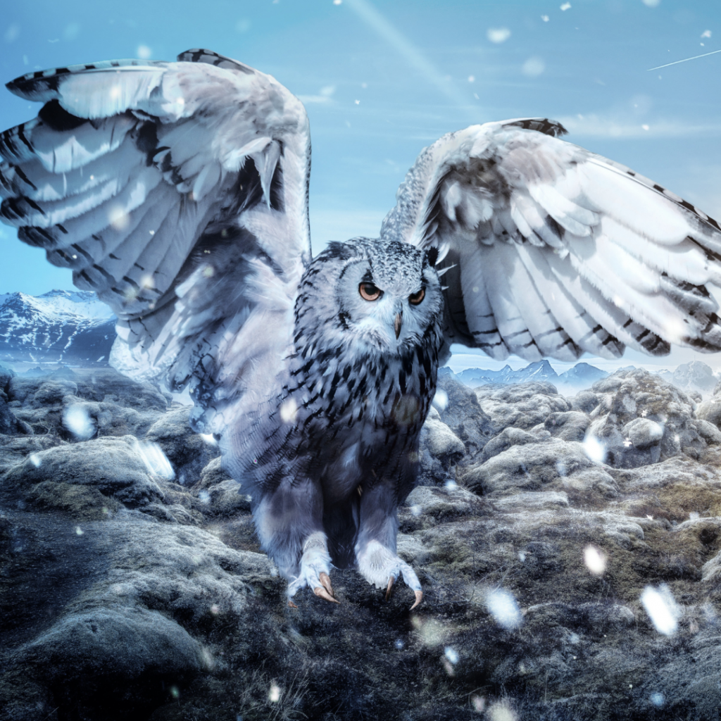 mein krafttier finden