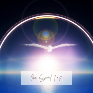 One Spirit 1+2