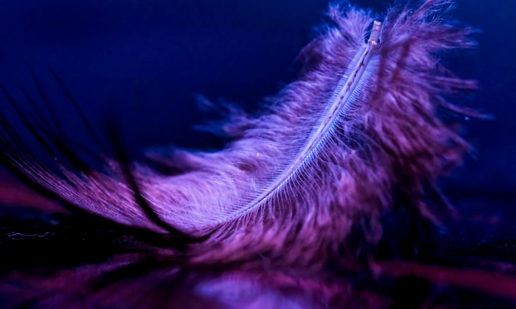 Sacred Breath atmen in die vier Himmelsrichtungen