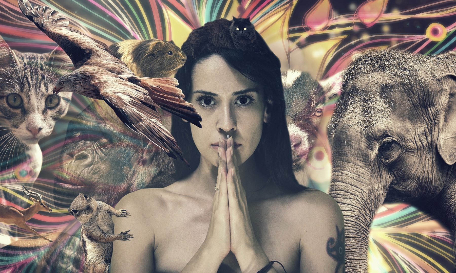 One Spirit mein krafttier finden