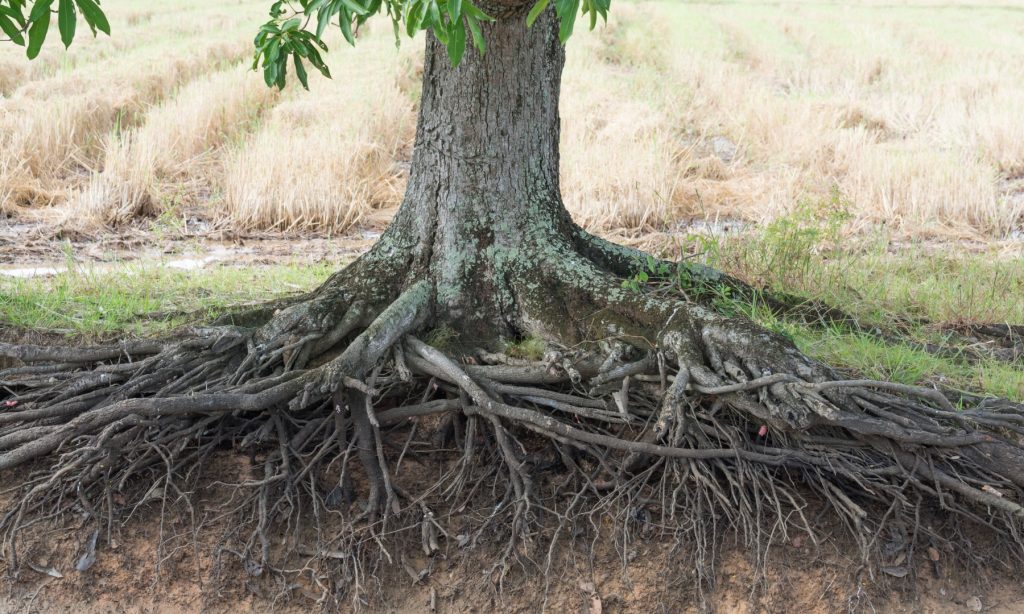wie kann man sich erden