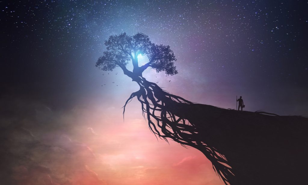 Wie kann man sich erden 
Reiki Erdung