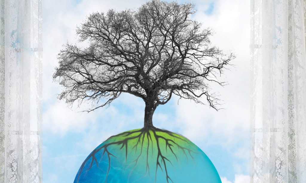 7-Generationen-Aufstellung 
Ahnenlinie heilen Ahnenaufstellungen