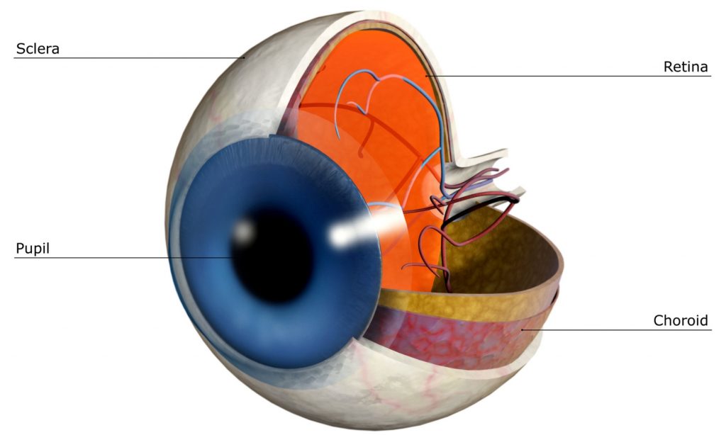 Sehschwäche korrigieren ohne brille
Augen Energie