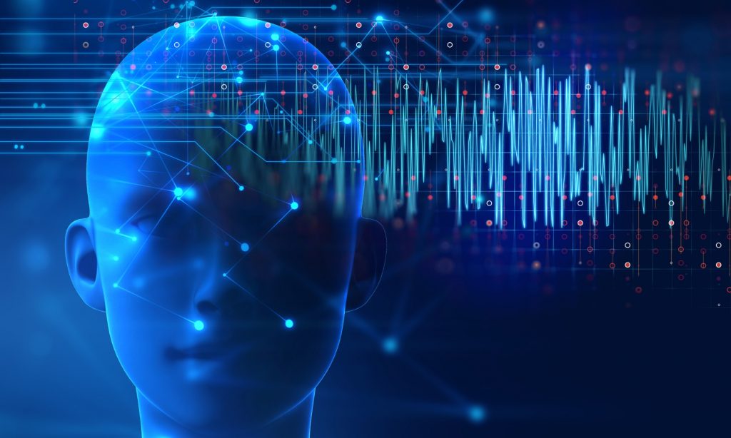 Aufbau des Gehirns einfach erklärt