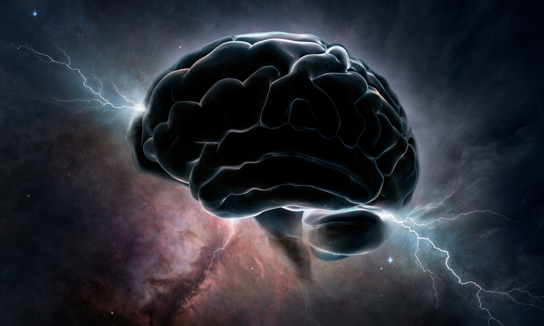 Aufbau des Gehirns einfach erklärt