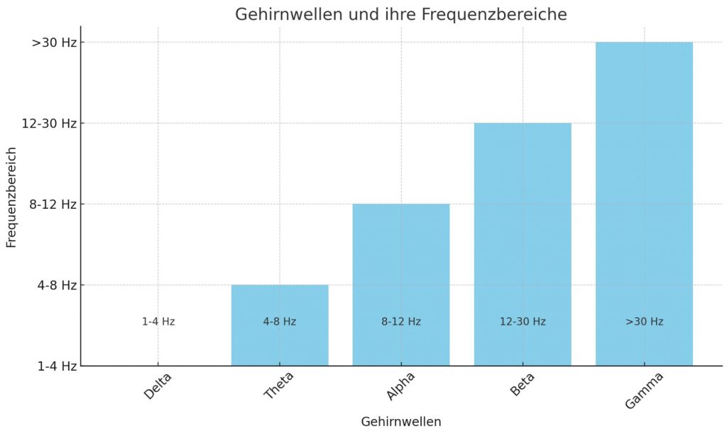 Aufbau des Gehirns einfach erklärt