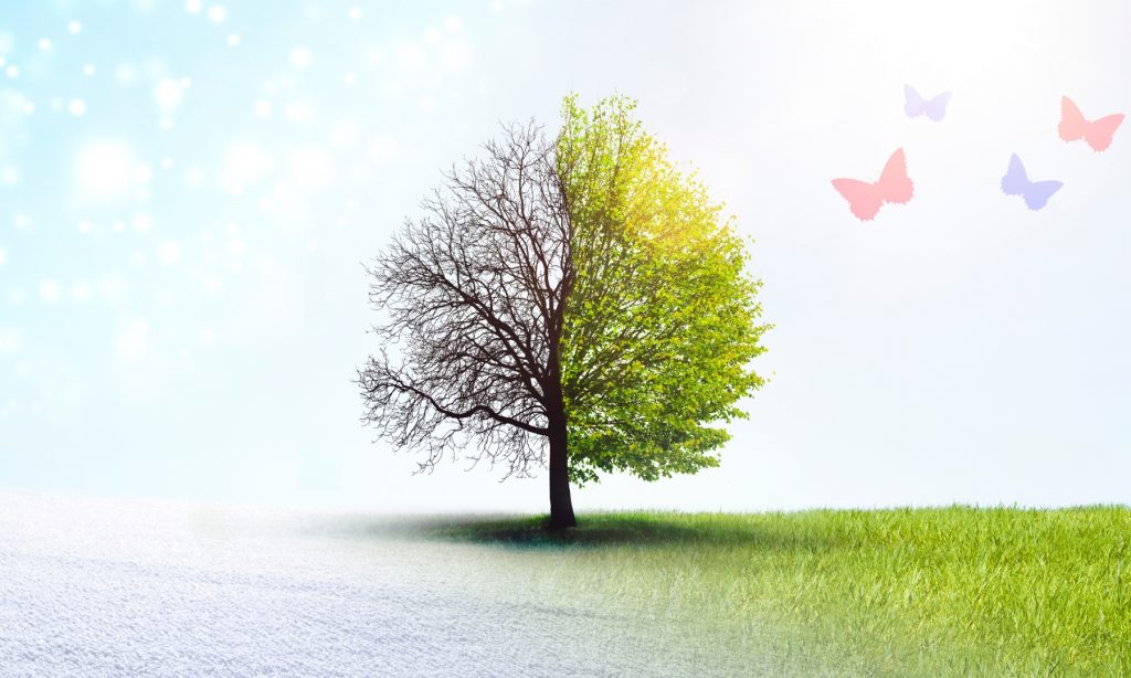 innere Jahreszeiten ausgleichen Reiki