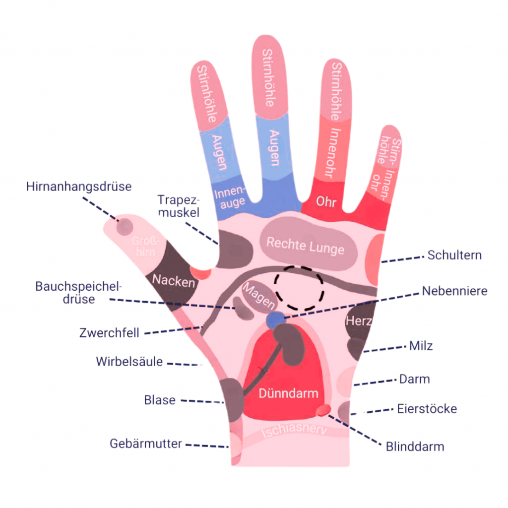 Hand Reflexzonen des Körpers