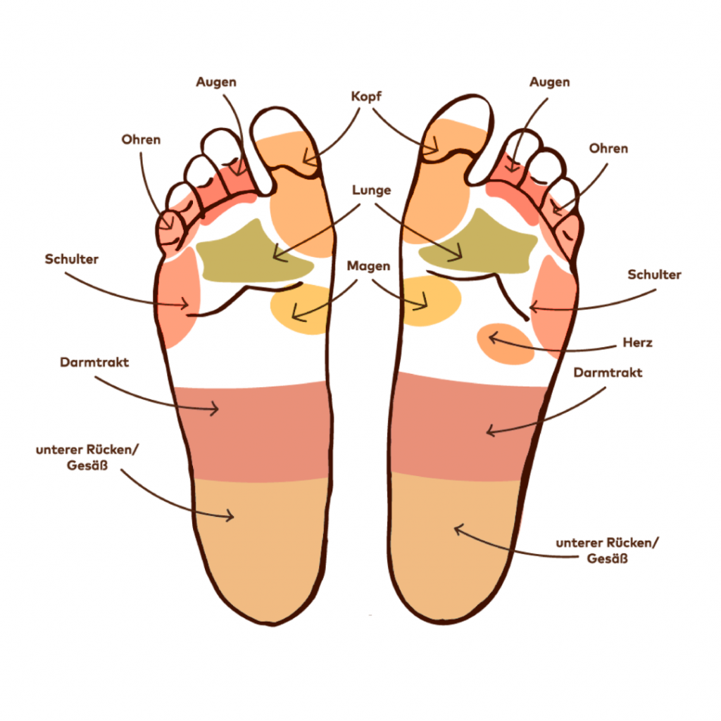 Fuß Reflexzonen des Körpers